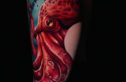 466548954_18462596788012529_6075073340693696528_n